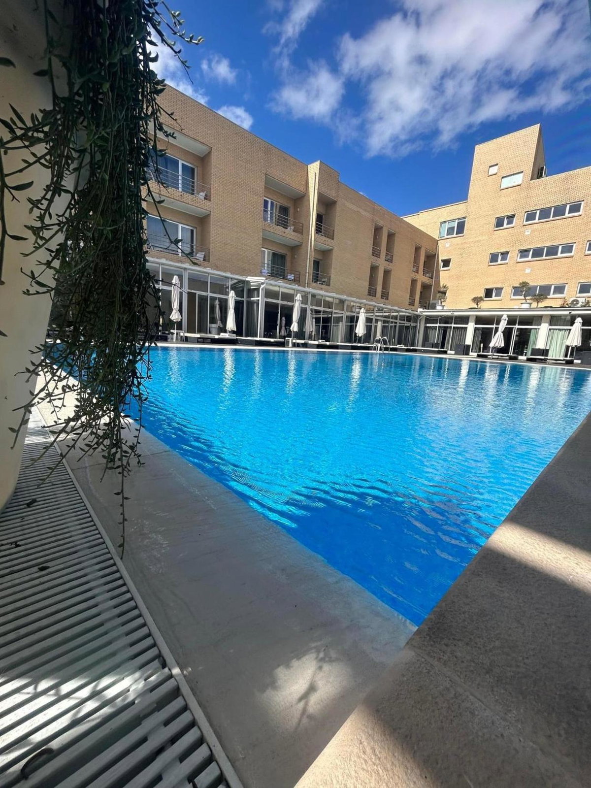 Hotel · Hotel de Ilhavo Plaza & Spa, Ilhavo