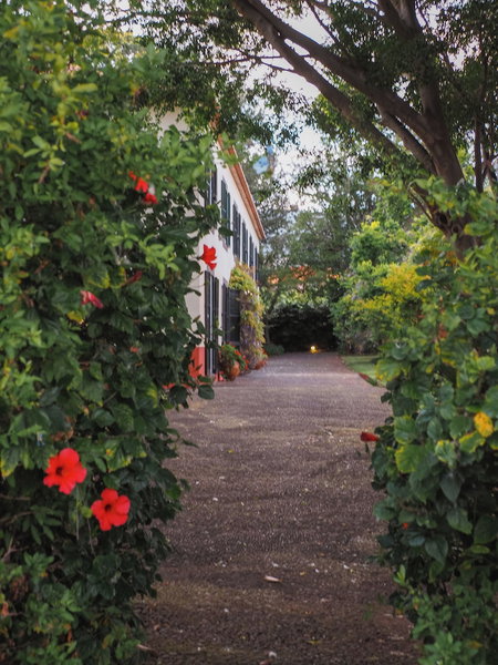 Quinta da Bela Vista - Madeira, Sao Martinho, Portugal