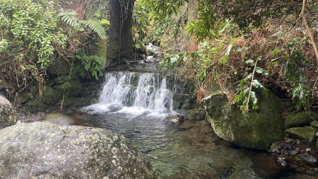 Kuanza Nature Experience, Fajã do Belo, Fajã da Caldeira de Santo Cristo, Portugal