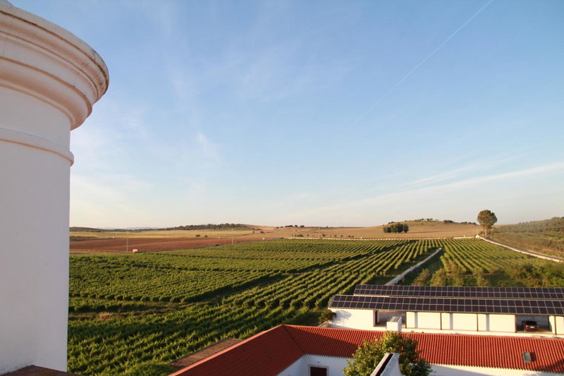 Torre de Palma Wine Hotel, Monforte, a Member of Design Hotels, Monforte, Portugal