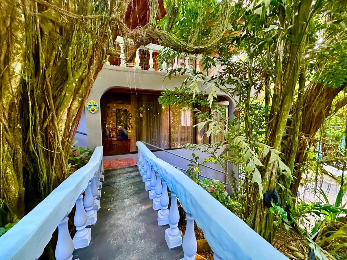 Отель · Jungle Beach Hotel Manuel Antonio, Manuel Antonio