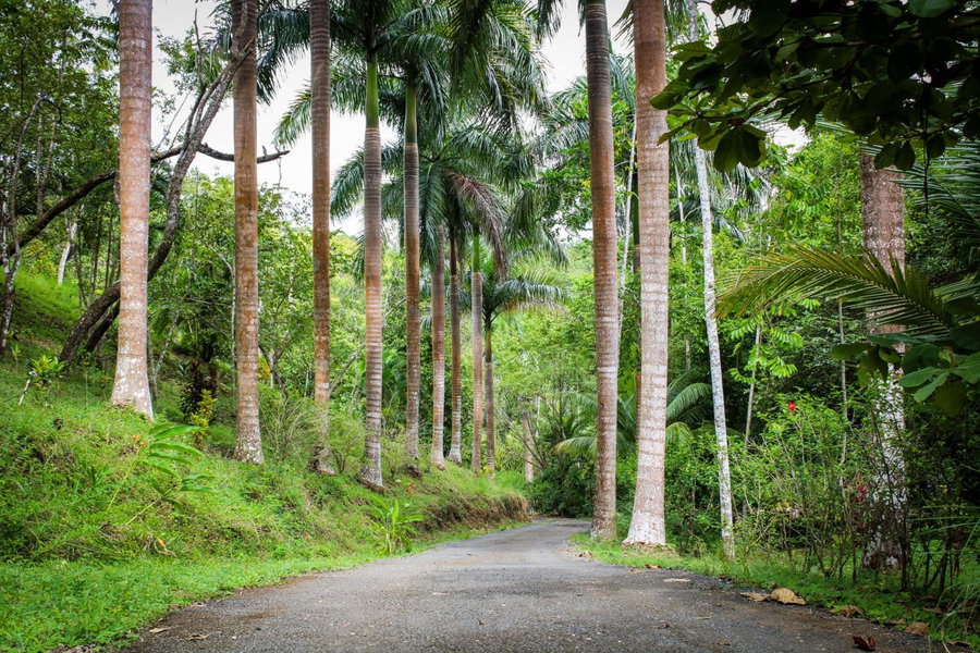 Lodge Margouillat, Tambor, Costa Rica