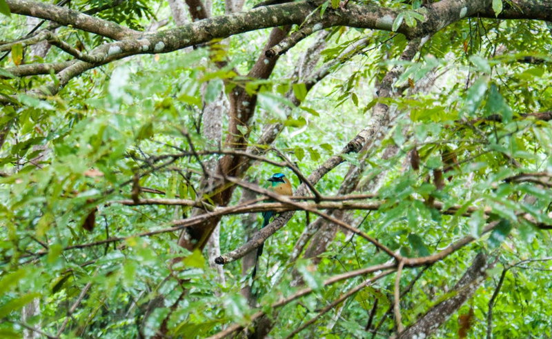 Lodge Margouillat, Tambor, Costa Rica