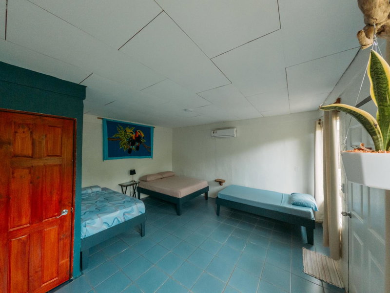 Rooms & Pool Macaws, Uvita, Costa Rica