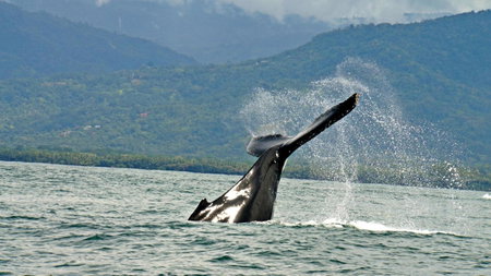 Cristal Ballena Boutique Hotel & Spa, Uvita, Costa Rica