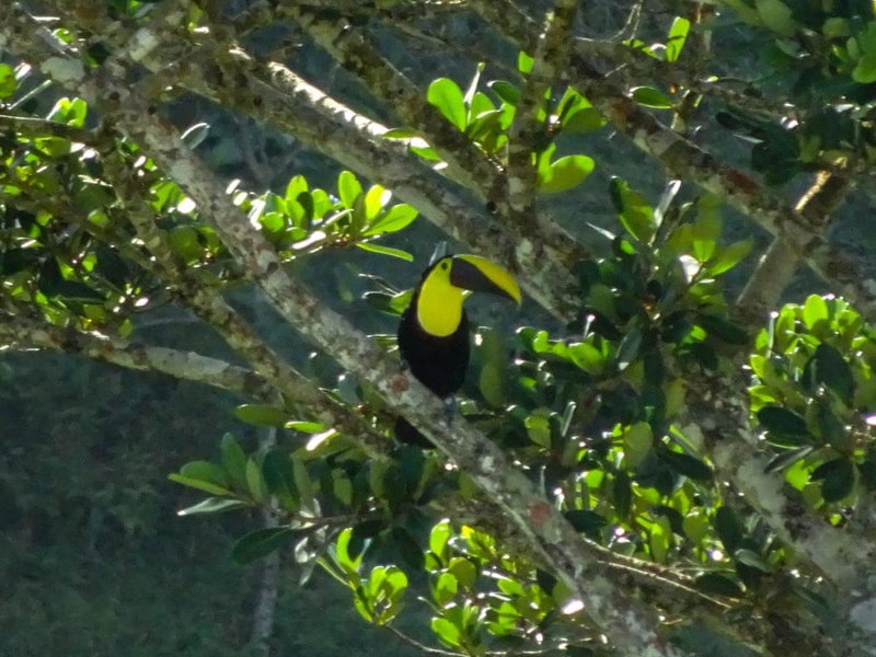 Eco Granja Don Lolo, Quesada, Costa Rica