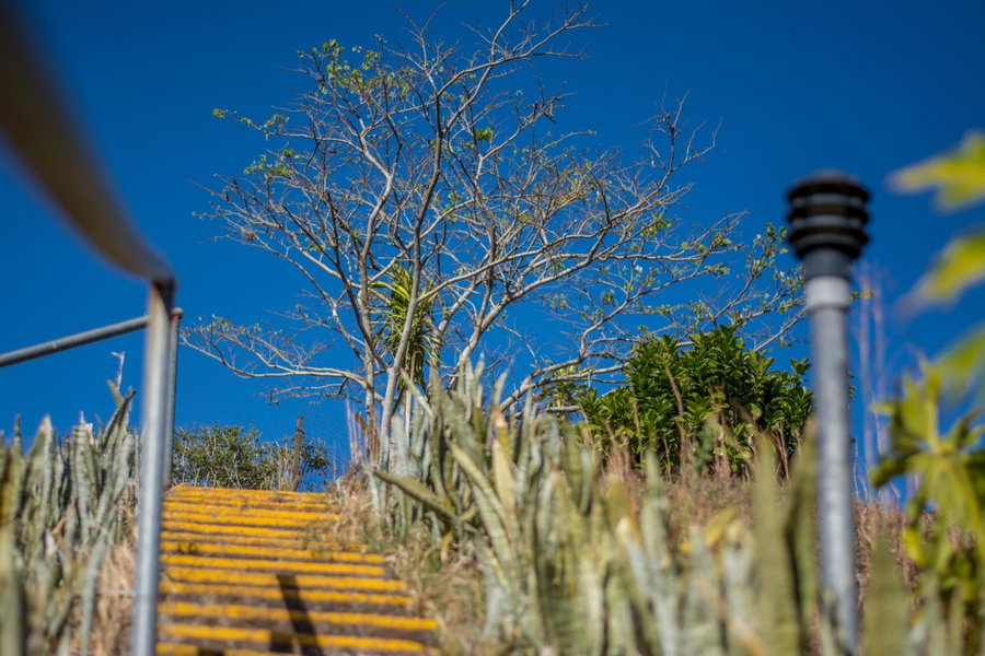 Hotel Colinas del Sol, Alajuela, Costa Rica