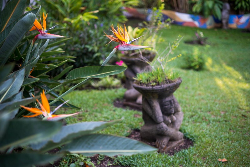Hotel Ave del Paraíso, San Pedro, Costa Rica