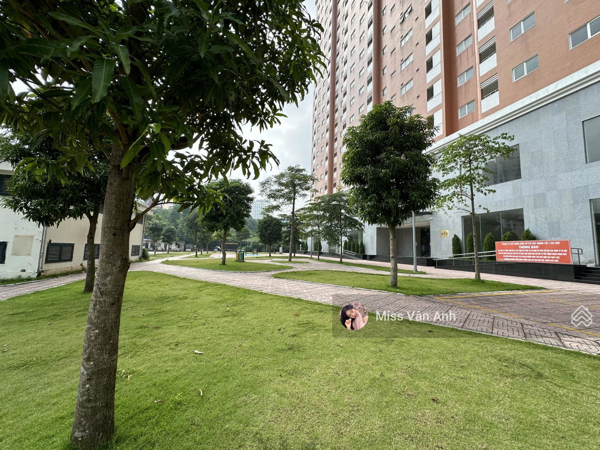 Dich Vong New Urban Area Project, Vietnam
