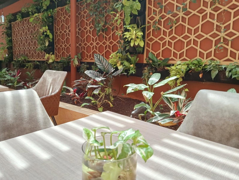 Hotel Lomas 10 Medellin, Medellin, Colombia