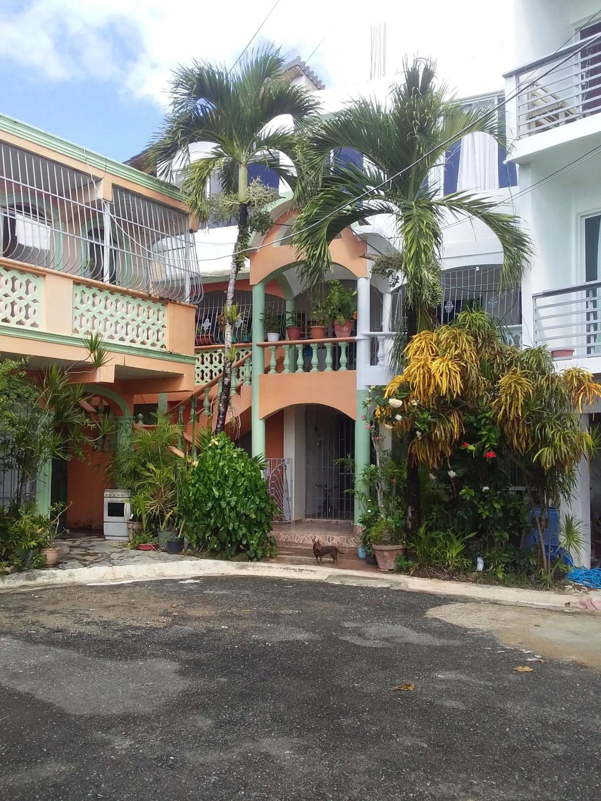 Отель · Best bed and breakfast in Samana Breakfast Included, Santa Bárbara De Samaná