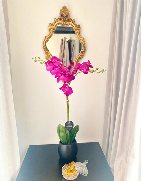The Flower B&B, Bruges, Belgium