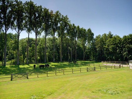 b & b St-Hubert, Dilbeek, Belgien