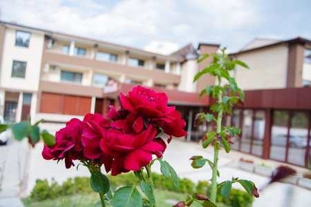 Hotel Fantazia, Haskovo, Bulgaria