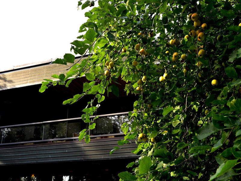 Hotel Fjalar, Salo, Finland
