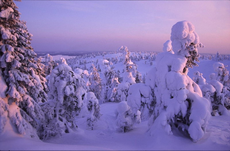 Hotel Royal Ruka, Kuusamo, Finnland