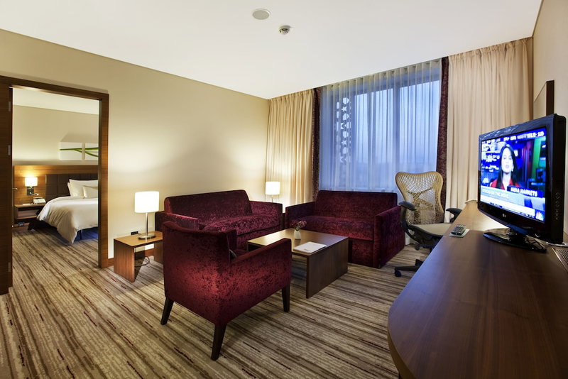 Hilton Garden Inn Konya, Turkey, Konya, Turkey