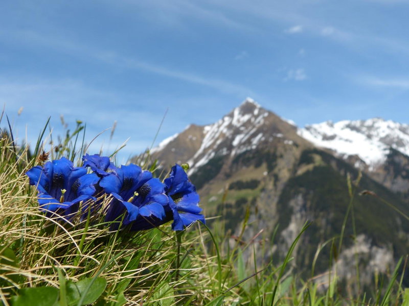 Landhaus Lexner, Tux, Austria