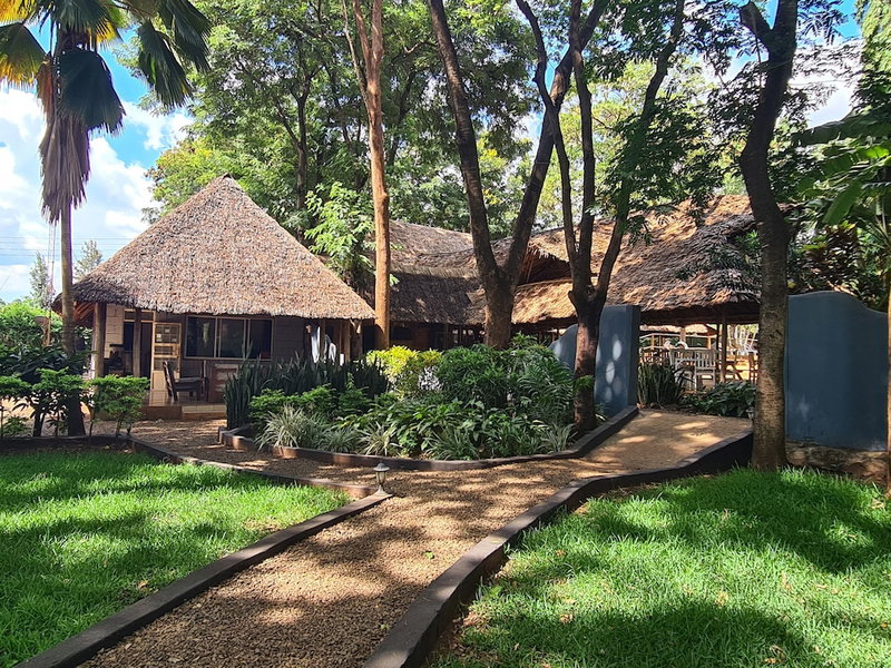 Honey Badger Lodge, Moshi, Tanzania