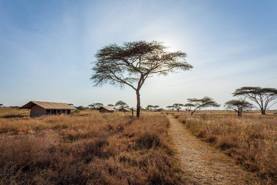 Mawe Tented Camp, Serengeti National Park, Танзания