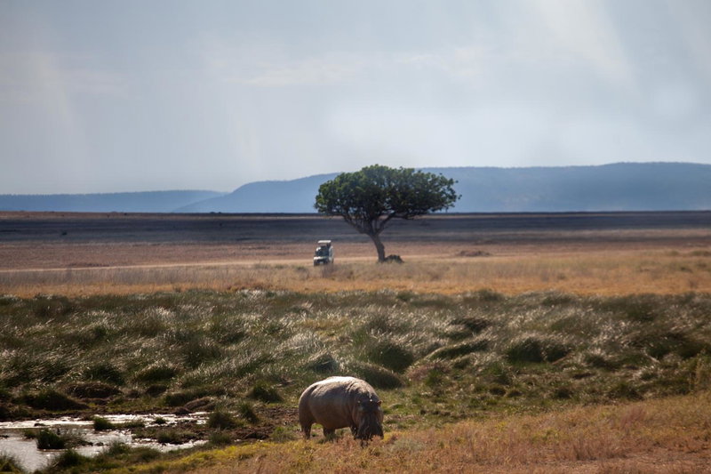 Mawe Tented Camp, Serengeti National Park, Танзания