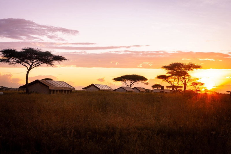 Mawe Tented Camp, Serengeti National Park, Танзания