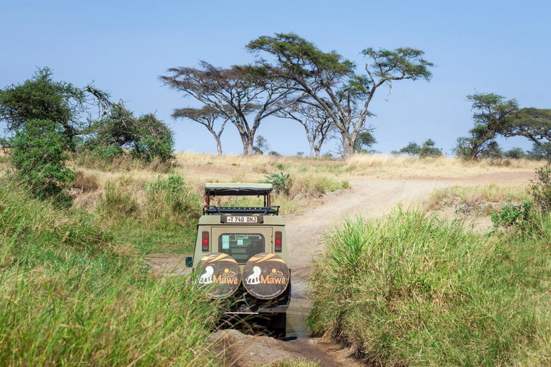 Mawe Tented Camp, Serengeti National Park, Танзания