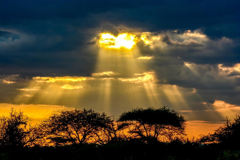 Africa Safari Serengeti Ikoma Camping, Serengeti, Танзания