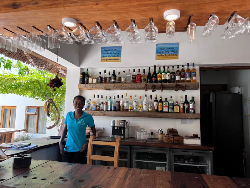 The View of Zanzibar, Michamvi, Tanzania