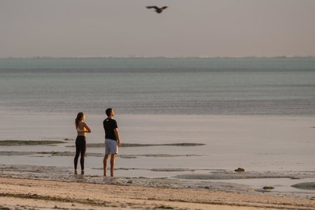 Hakuna Majiwe Beach Resort, Sokoni, Tanzanie