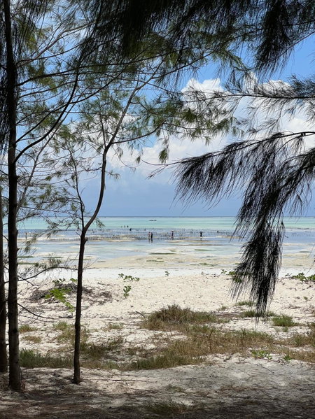 Kivuli Beach Resort Paje, Sokoni, Tansania