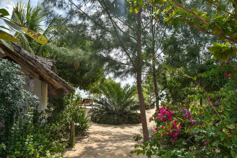 AFYA Village at the sea, Michamvi, Tansania