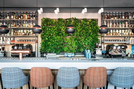 FREIgeist Göttingen Innenstadt, A Member of Design Hotels, Goettingen, Germany
