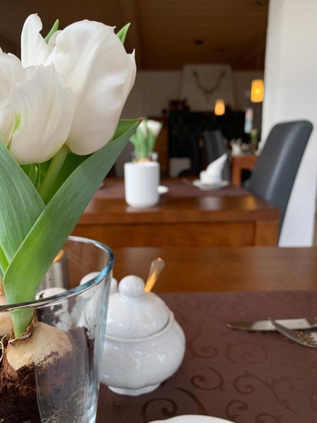 Hotel Palko, Dingolfing, Germany