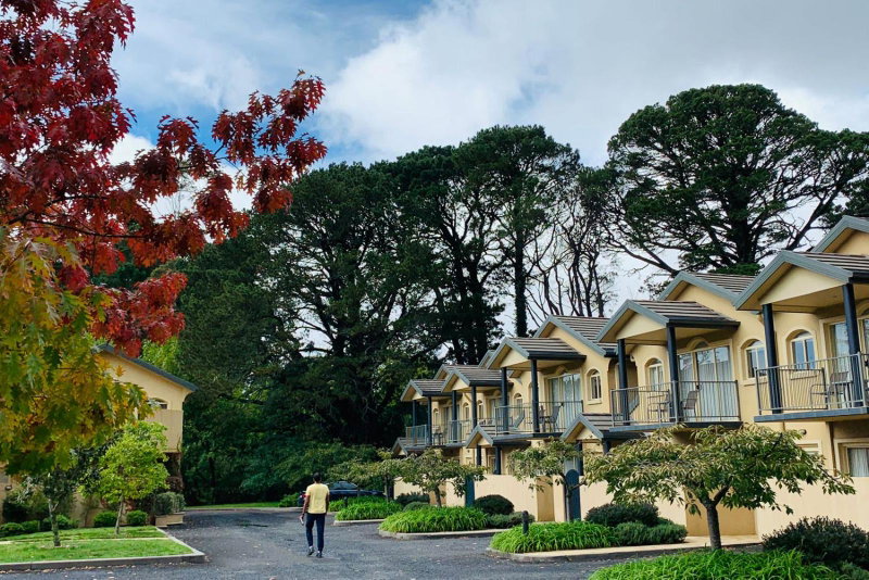 Falls Mountain Retreat Blue Mountains, Wentworth Falls, Australia