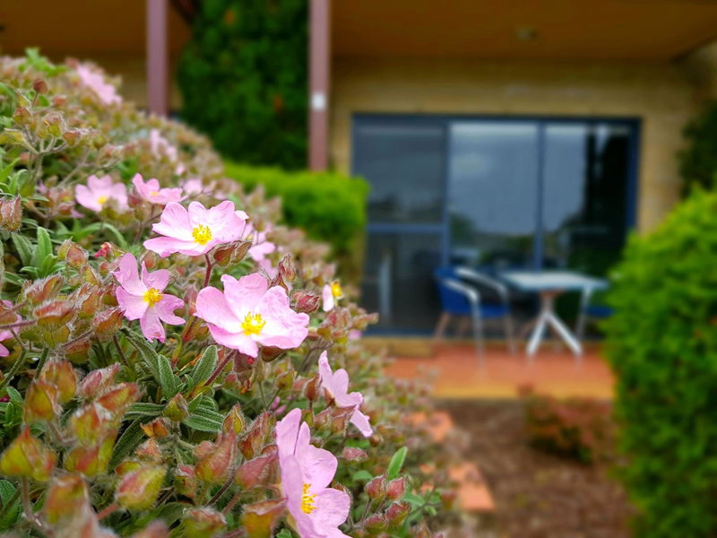 Seaview Motel & Apartments, Apollo Bay, Australia