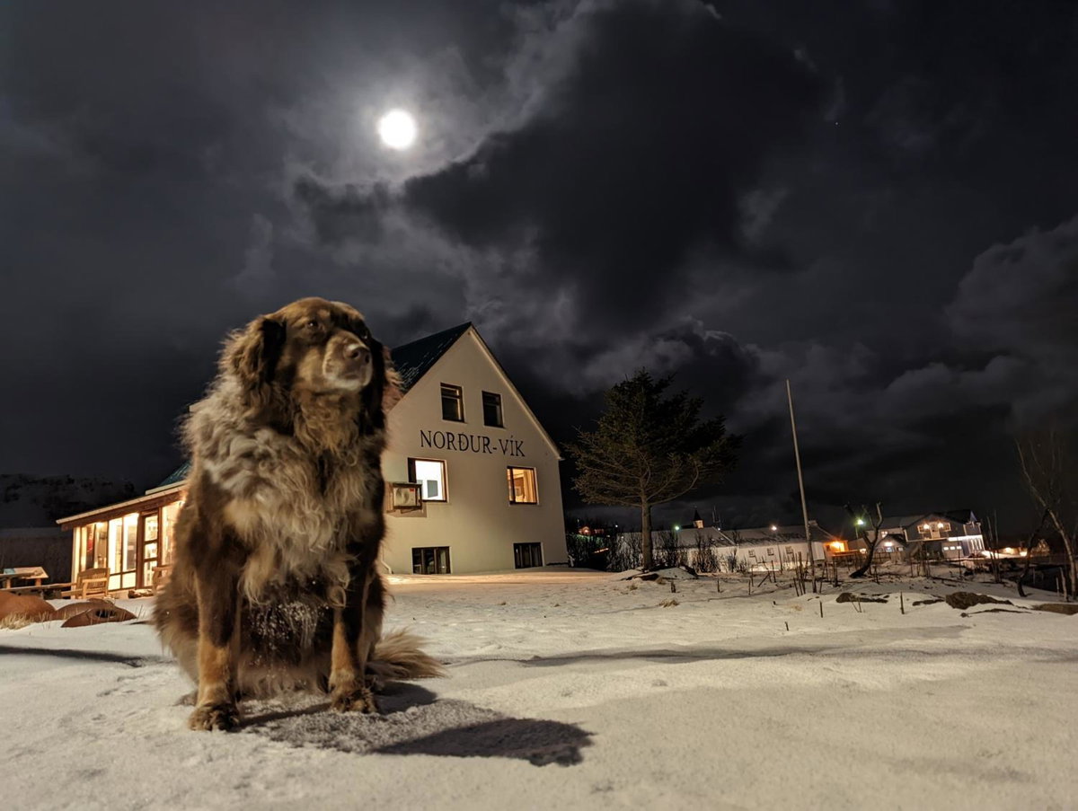 Vík Hostel, Исландия