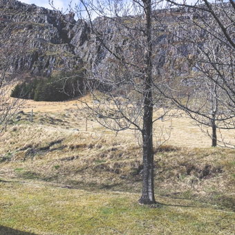 Guesthouse Skálafell, Skálafell, Iceland