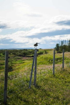 Hótel Leirubakki, Rangárþing ytra, Исландия