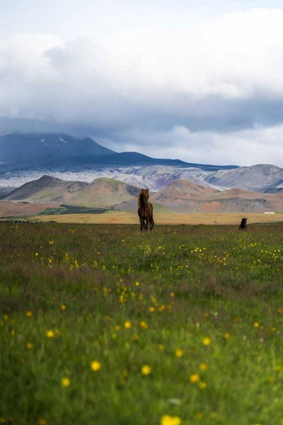 Hótel Leirubakki, Rangárþing ytra, Исландия