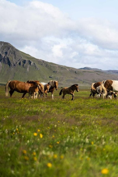 Hótel Leirubakki, Rangárþing ytra, Исландия
