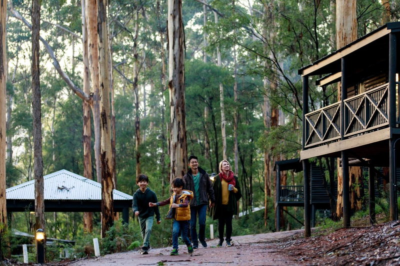 RAC Karri Valley Resort, Pemberton, Australia