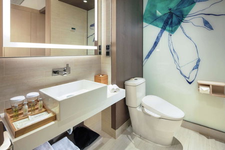 Hilton Garden Inn Shanghai Hongqiao NECC, Songjiang, 中国