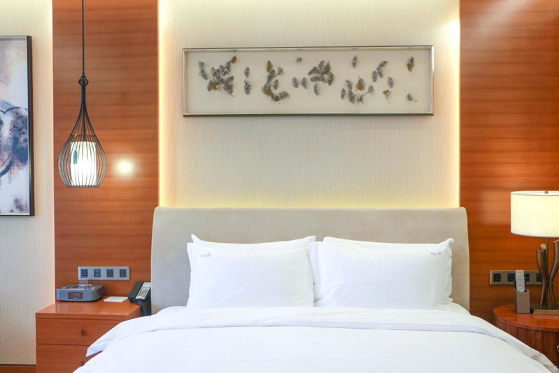 Holiday Inn Nanjing Xuanwu Lake by IHG, Nanjing, 中国