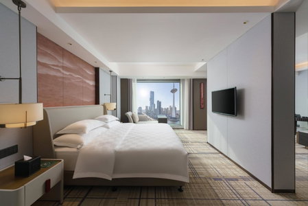 Swissôtel Shenyang, Shenyang, 中国