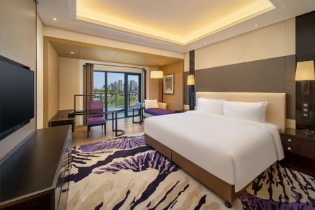 Radisson Blu Hotel Wuhan ETD Zone, Caidian, 中国