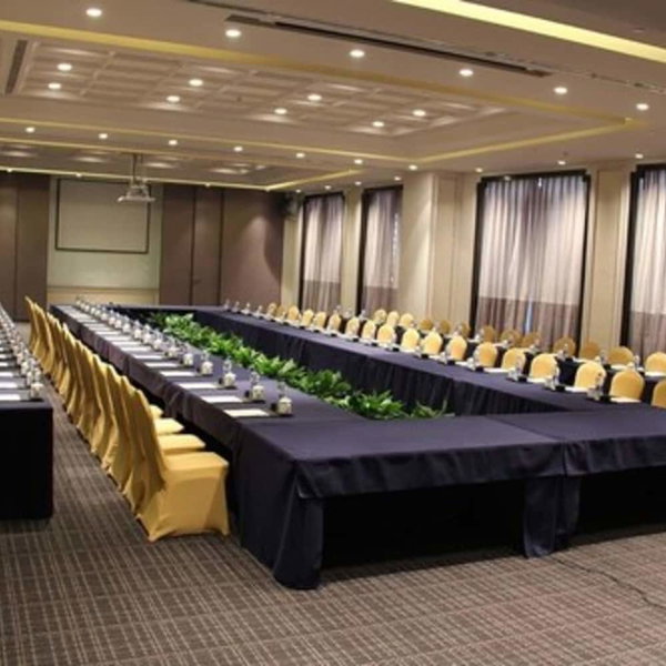 Radisson Blu Hotel Wuhan ETD Zone, Caidian, 中国