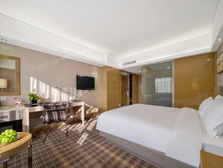 Grand Skylight Hotel Shenzhen Zhonghang Futian Huaqiang North Branch, Shenzhen, 中国