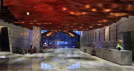 Shenzhen Castle Hotel, Shenzhen, 中国