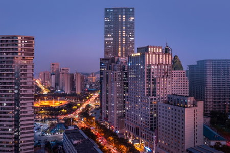 Wuhan Hongguang Hotel, Wuhan, 中国